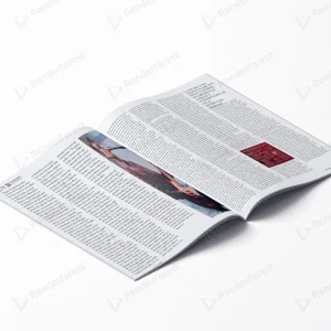 Revista de Los Bunkers 